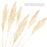 Set of 96 Wholesale Pampas Grass Decor Plumes-Set of 96-Koyal Wholesale-Natural-28-32"-