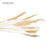 Set of 96 Wholesale Pampas Grass Decor Plumes-Set of 96-Koyal Wholesale-Natural-28-32"-