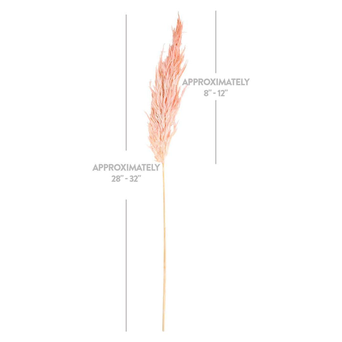 Set of 96 Wholesale Pampas Grass Decor Plumes-Set of 96-Koyal Wholesale-Natural-28-32"-
