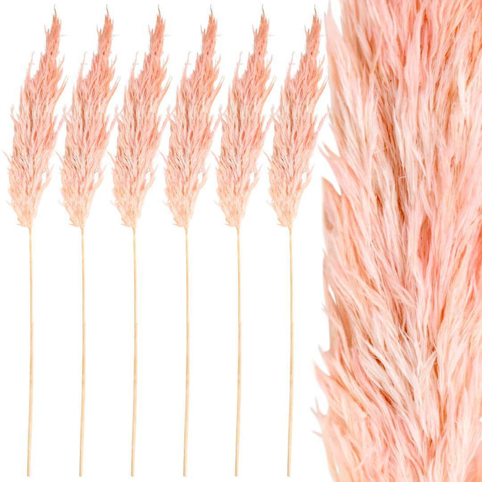 Set of 96 Wholesale Pampas Grass Decor Plumes-Set of 96-Koyal Wholesale-Pink-28-32"-