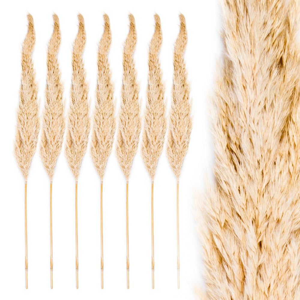 Set of 96 Wholesale Pampas Grass Decor Plumes-Set of 96-Koyal Wholesale-Natural-28-32"-