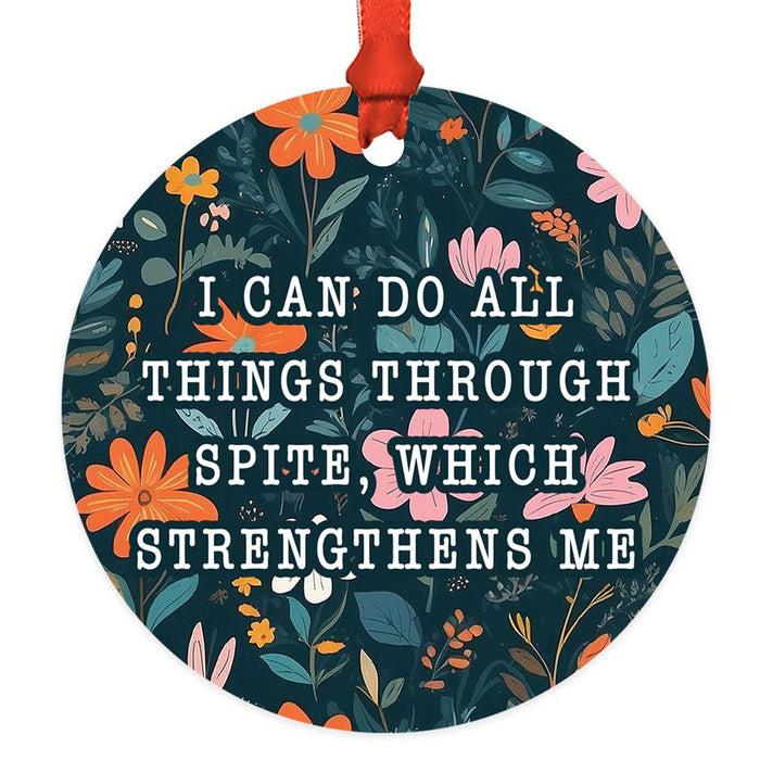Sibling Christmas Ornaments 20XX, Metal Funny Big Brother & Sister Gift-Set of 1-Andaz Press-I Can Do All Things Through Spite-