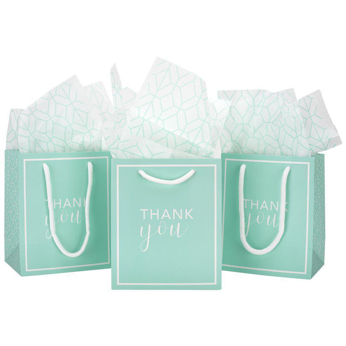 Thank You Party Favor Gift Bags-Set of 25-Andaz Press-Aqua-