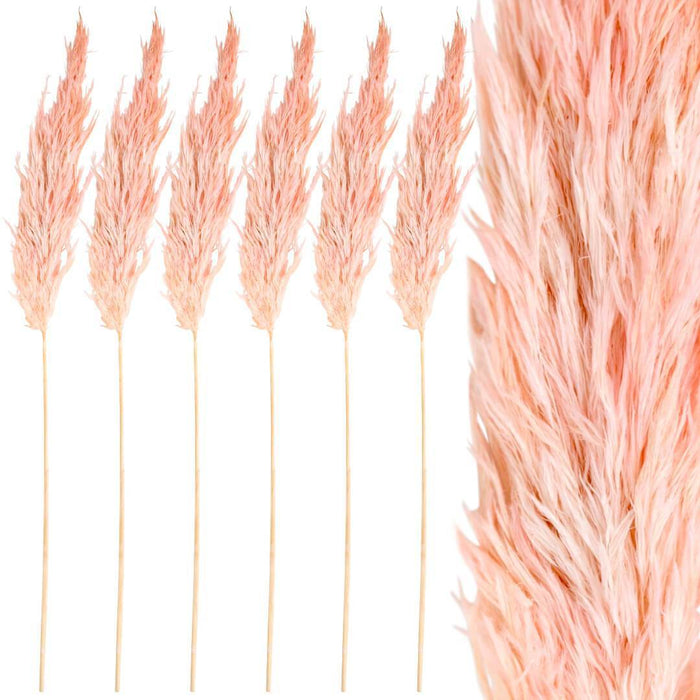 Wholesale Pampas Grass Decor Plumes, Set of 96-Set of 96-Koyal Wholesale-Pink-28-32"-