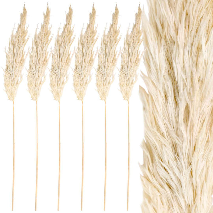 Wholesale Pampas Grass Decor Plumes, Set of 96-Set of 96-Koyal Wholesale-White-28-32"-