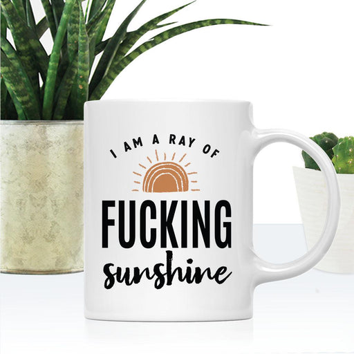 11oz Ceramic Funny Coffee Mug - 4 Designs-Set of 1-Andaz Press-Ray Of Fucking Sunshine-