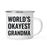 Andaz Press 11oz World's Okayest Family Campfire Coffee Mug-Set of 1-Andaz Press-Aunt-