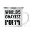 Andaz Press 11oz World's Okayest Family Campfire Coffee Mug-Set of 1-Andaz Press-Aunt-