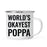 Andaz Press 11oz World's Okayest Family Campfire Coffee Mug-Set of 1-Andaz Press-Poppa-