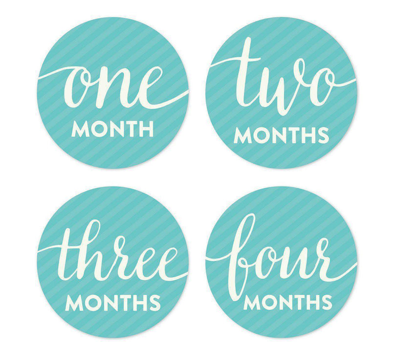 Baby & Co. Baby Shower Pregnancy Baby Belly Milestone Label Stickers-Set of 20-Andaz Press-