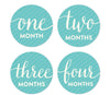 Baby & Co. Baby Shower Pregnancy Baby Belly Milestone Label Stickers-Set of 20-Andaz Press-