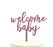 Baby Shower Welcome Baby Glitter Acrylic Cake Toppers-Set of 1-Andaz Press-Pink-