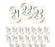 Boho Chic Floral Roses Table Numbers-Set of 20-Andaz Press-1-20-
