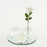 Bud Vase Centerpiece with Round Bevel Mirror-Set of 4-Koyal Wholesale-Clear-