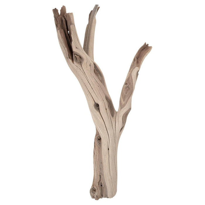 California Driftwood Branch, Set of 1-Set of 1-Koyal Wholesale-12"-