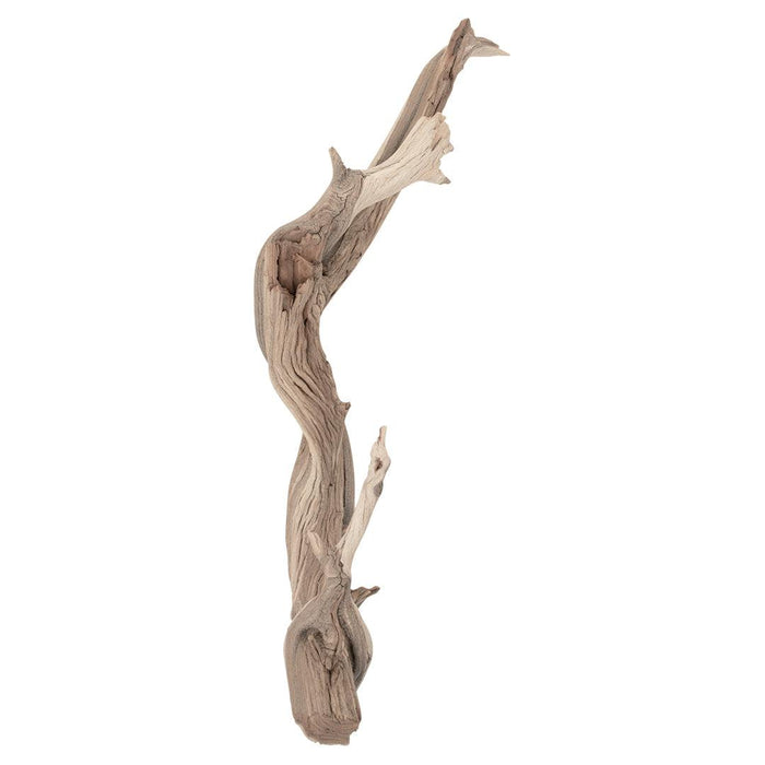 California Driftwood Branch, Set of 1-Set of 1-Koyal Wholesale-12"-