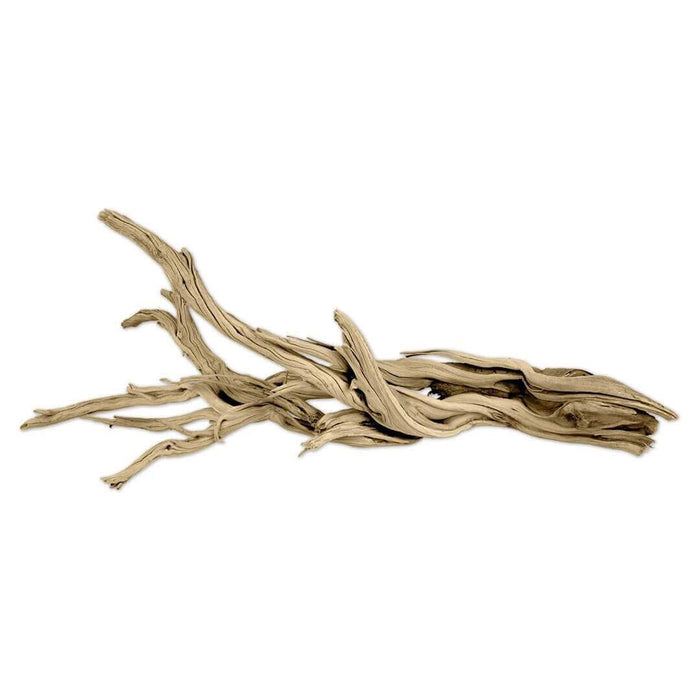 California Driftwood Branch, Set of 1-Set of 1-Koyal Wholesale-12"-