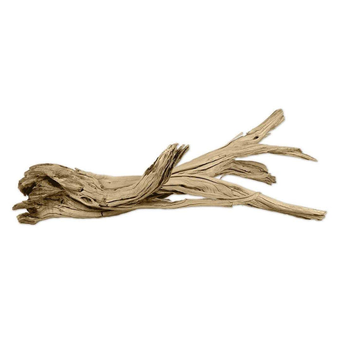 California Driftwood Branch, Set of 1-Set of 1-Koyal Wholesale-12"-