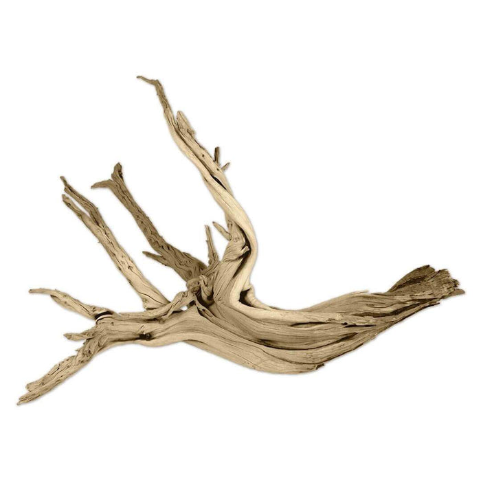 Driftwood Branch Decor  Shop Now For Free Shipping