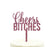 Cheers Bitches Glitter Acrylic Party Cake Topper-Set of 1-Andaz Press-Gold-