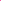 Cheers! Circle Gift Tags, Whimsical Style-Set of 24-Andaz Press-Fuchsia-