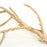Cholla Cactus Wood Branch-Set of 1-Koyal Wholesale-6"-