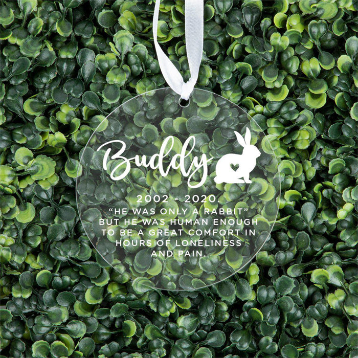 Custom Round Clear Acrylic Christmas Tree Ornament Keepsake, Pet Memorial, For Pet Lovers, Dog Lovers, Dog Parents-Set of 1-Andaz Press-Pet Dog-