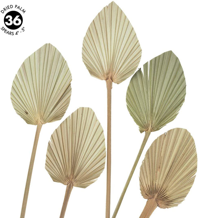 Dried Palm Spears, Natural Wedding Home Décor, 4-5", Set of 36-Set of 36-Koyal Wholesale-