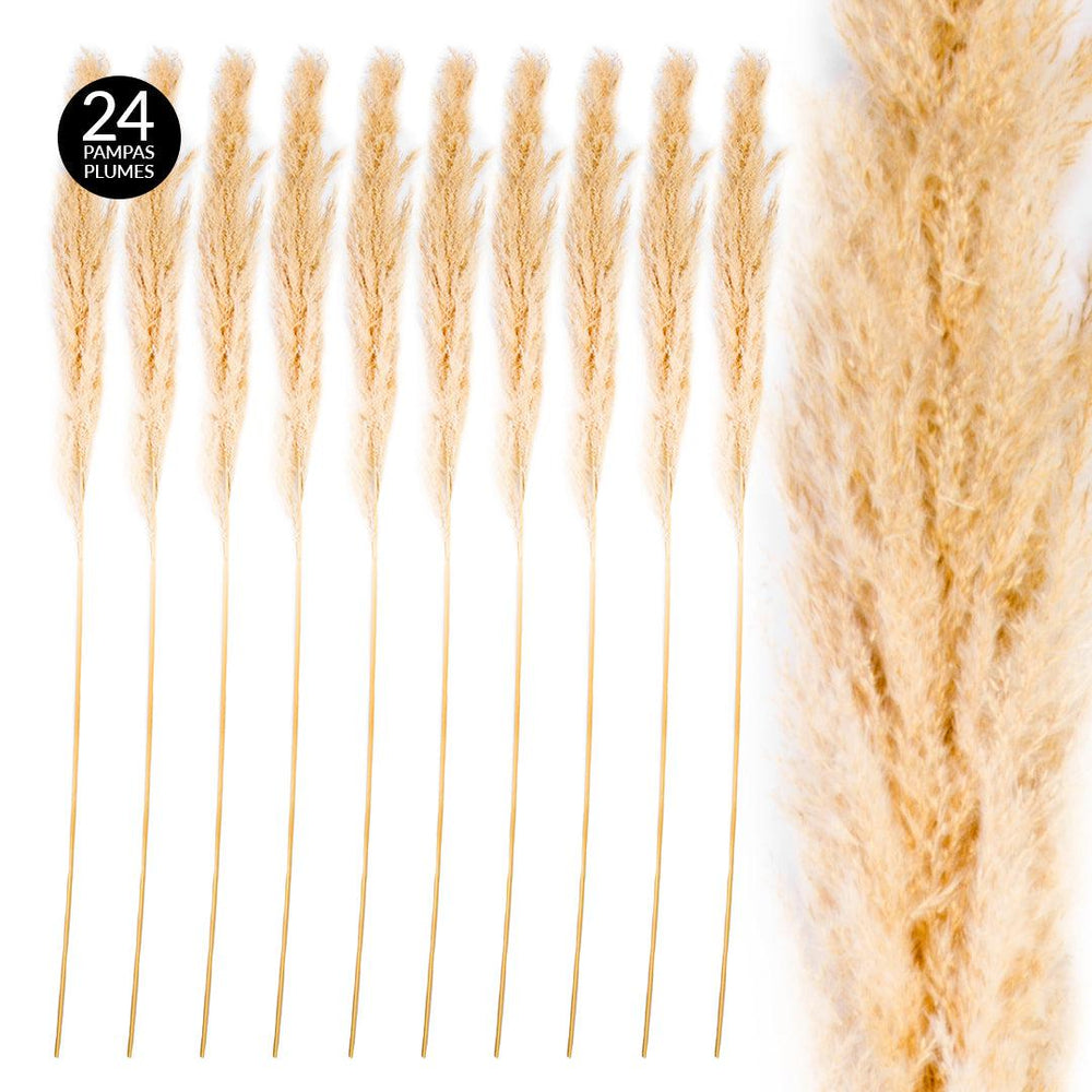 Extra Large Tall Preserved 55” Pampas Grass-Set of 24-Koyal Wholesale-Natural-51-55"-