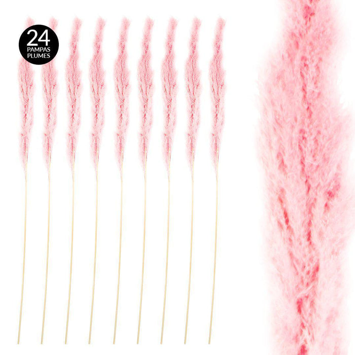 Extra Large Tall Preserved 55” Pampas Grass-Set of 24-Koyal Wholesale-Pink-51-55"-