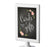 Framed Chalkboard & Floral Roses Wedding Party Signs-Set of 1-Andaz Press-Mr. & Mrs.-
