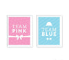 Gender Reveal Baby Shower Team Pink/Blue Party Signs, 2-Pack-Set of 2-Andaz Press-