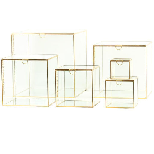 Glass Museum Display Cases, Set of 6-Set of 6-Koyal Wholesale-Gold-