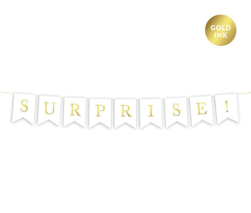 Gold Ink Pennant Party Banner-Set of 1-Andaz Press-Surprise!-