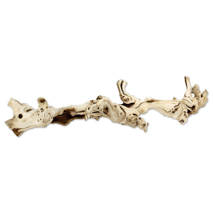 Grapewood Branch, Set of 1-Set of 1-Koyal Wholesale-6"-