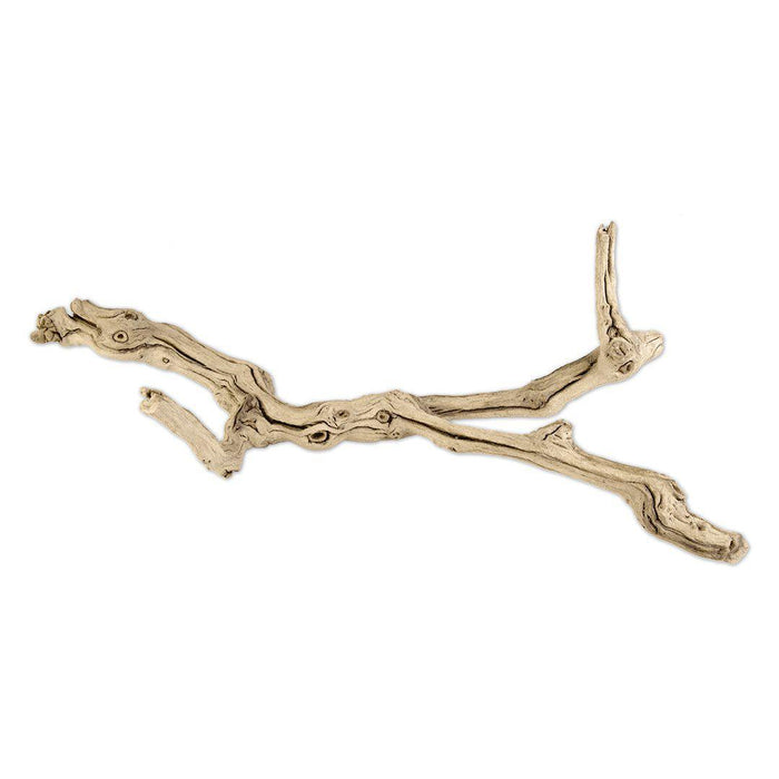 Grapewood Branch, Set of 1-Set of 1-Koyal Wholesale-6"-