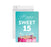 Jumbo Happy 15 Birthday Card with Envelope-Set of 1-Andaz Press-Sweet 15-