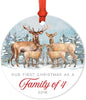 Metal Christmas Ornament, Our First Christmas as a of Four, Custom Year, Watercolor Rustic Deer-Set of 1-Andaz Press-