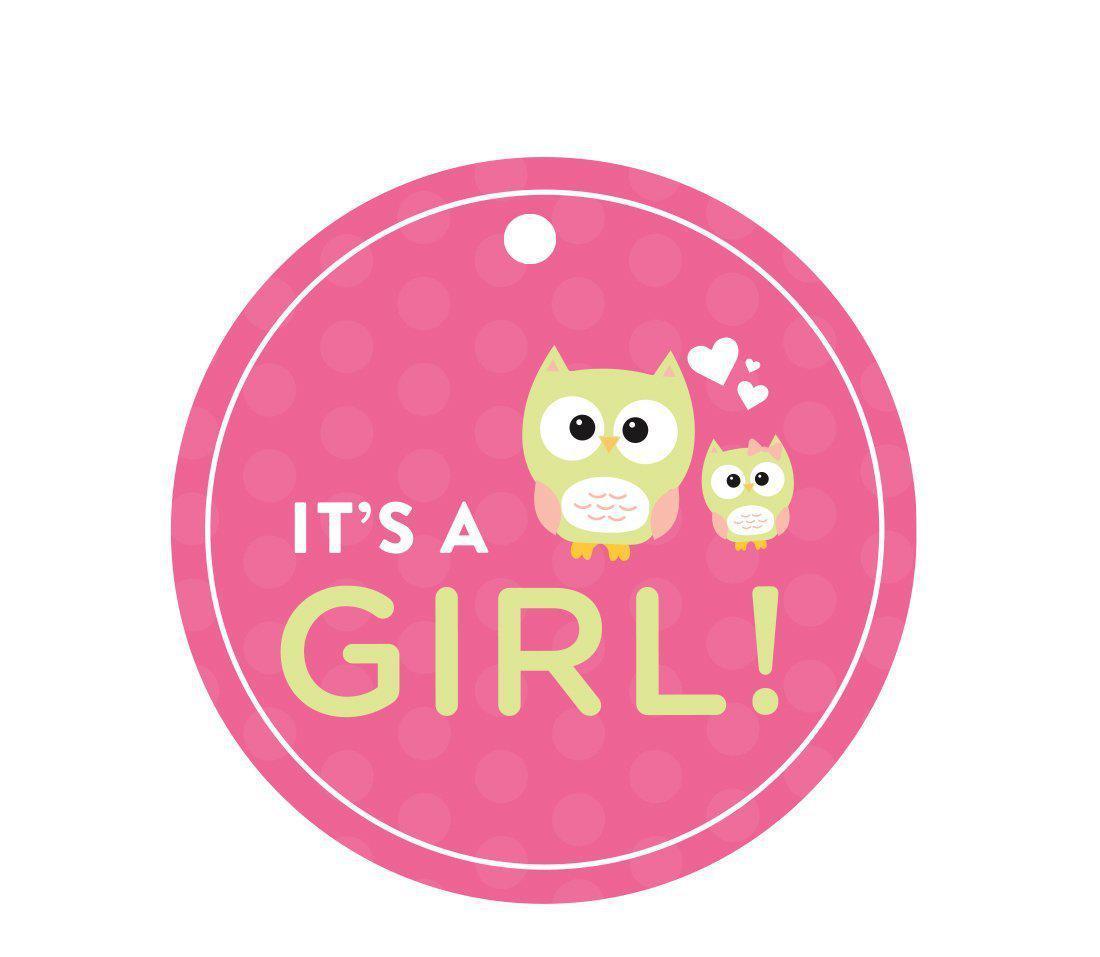 Modern Owl Girl Baby Shower Round Gift Tags, It's a Girl!-Set of 24-Andaz Press-