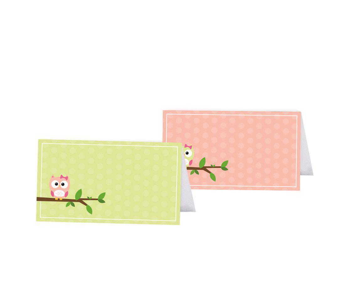 Modern Owl Girl Baby Shower Table Tent Place Cards-Set of 20-Andaz Press-