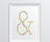 Monogram Wall Art Letters, Coral Floral Roses-Set of 1-Andaz Press-&-