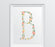 Monogram Wall Art Letters, Coral Floral Roses-Set of 1-Andaz Press-B-