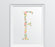 Monogram Wall Art Letters, Coral Floral Roses-Set of 1-Andaz Press-F-