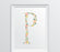 Monogram Wall Art Letters, Coral Floral Roses-Set of 1-Andaz Press-P-