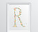 Monogram Wall Art Letters, Coral Floral Roses-Set of 1-Andaz Press-R-