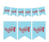Pennant Party Banner Airplane-Set of 1-Andaz Press-