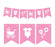 Pennant Party Banner Baby Shower Rattles Carriage Onesie-Set of 1-Andaz Press-Pink-