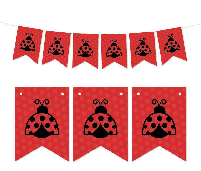 Pennant Party Banner Ladybug-Set of 1-Andaz Press-