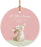 Personalized Round Porcelain Christmas Ornament, Bunny Rabbit Blush Pink Mint, Custom Year-Set of 1-Andaz Press-A Little Bunny is Blessing Our Family-