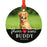 Photo Personalized Round Metal Christmas Dog Ornament Keepsake, Pet Memorial Ideas-Set of 1-Andaz Press-Our Hearts-